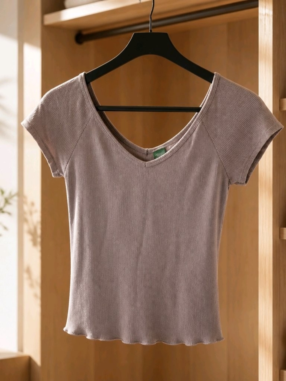 wild fable Ribbed V-Neck Tee in Mauve